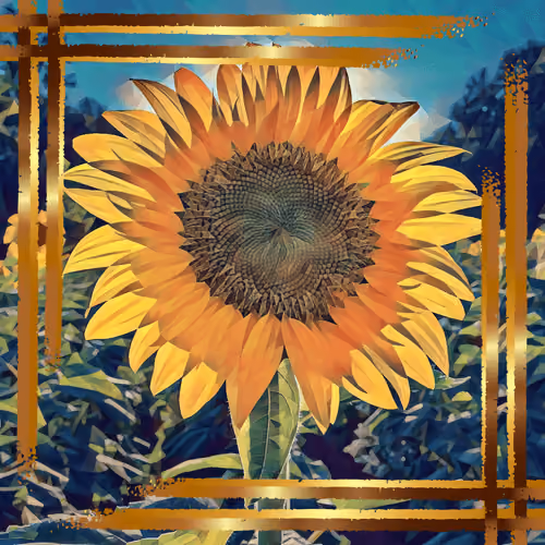 #0342 sunflower