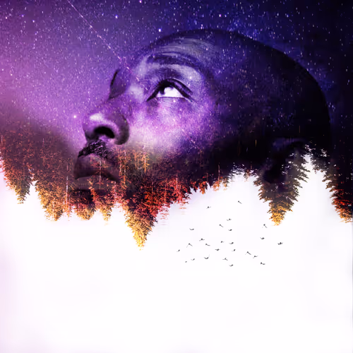 Item #15388151998385142520402863105602745666681691027385313044373482388553226780673 Media