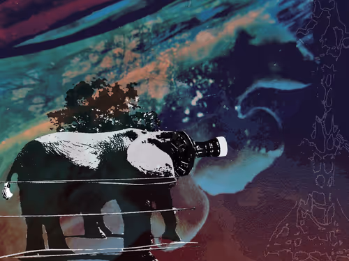 Item #6775040480885046554620352186807230541781554630932689844287671635049738928129 Media