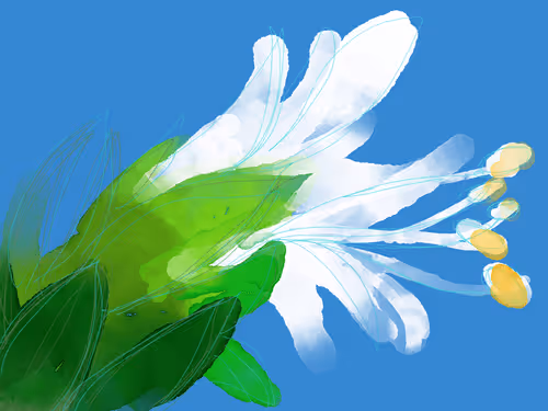 Item #36852278608857291470989576231944557876708875347652874372458497601260377604097 Media