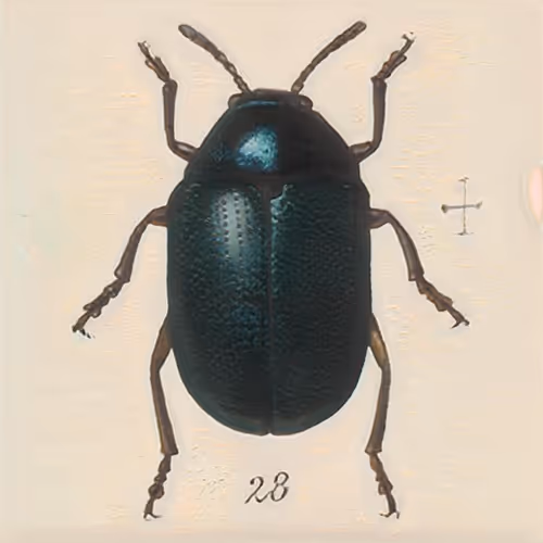 Item #58241160855422744817468407088196322100109565521561100950236904433182367023105 Media