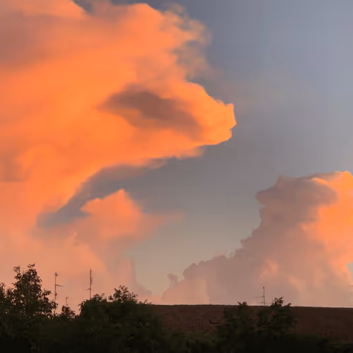 Untitled Collection #229029269