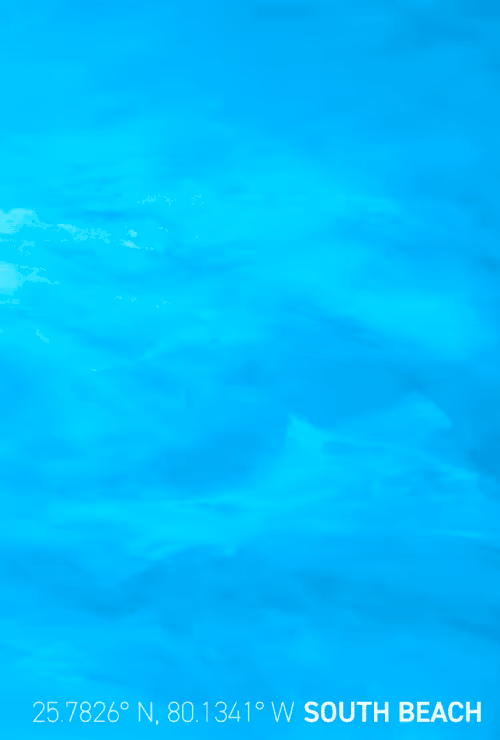 Item #26943238138681638753348092188697374887664825659826611314374211190816824623105 Media