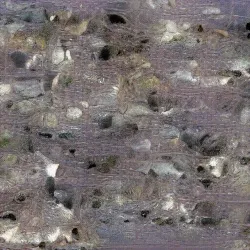 51505744279772251808310948570193708993242265706659681932624859452850994937858