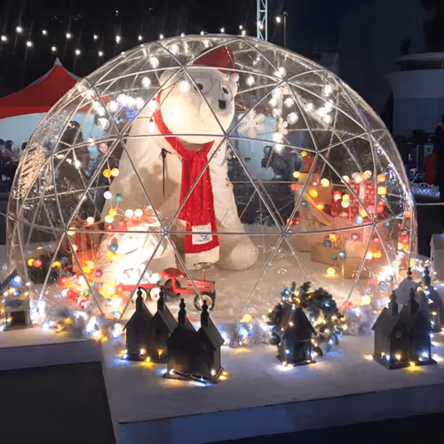 Untitled Collection #210215339