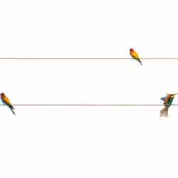 Birds Symphony #15