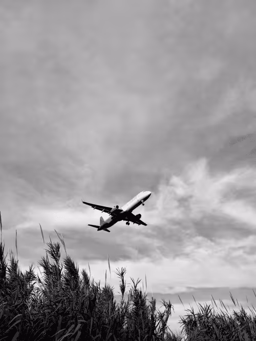 Item #36816001644917254617906175698674191035781868216999975889902342356355380150273 Media