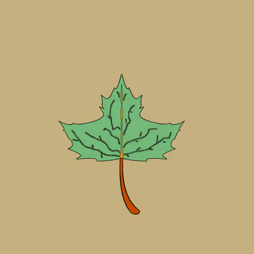 Item #67442861663334708568431626599499864796798009138674433109352702154659944464385 Media