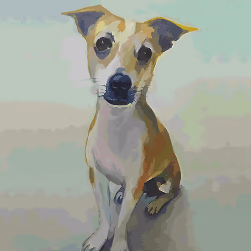 Item #105904917900509472962026606406280436978496078727756169613919487433570040938506 Media