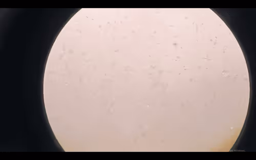 Item #54745154985906596137061195666257221774112717625342458029327300518186269540353 Media