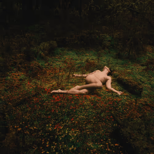 Item #78290495778488024413402900412975028234166831643233263215137554342878220648449 Media