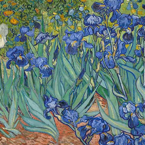 Vincent Willem van Gogh