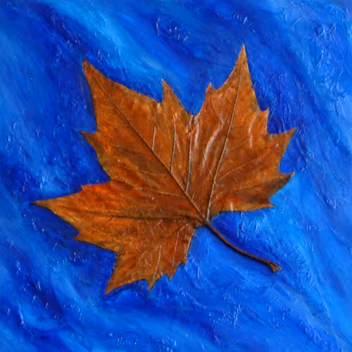 Item #97702927853168299230990322008040701981567024197481841896206853691249268883457 Media