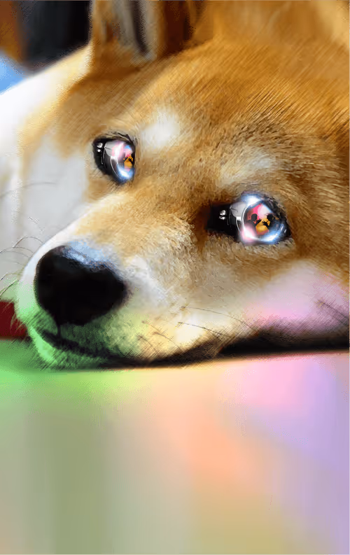 Item #58463189589733520168739816096332050439681193158488433899624995434082410168323 Media