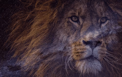 Item #103303064169862110884061021685904109073378734688534247676315579860196947656705 Media