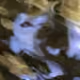 91498441785852569699050615071958385576791380083988454075612976709192537604097