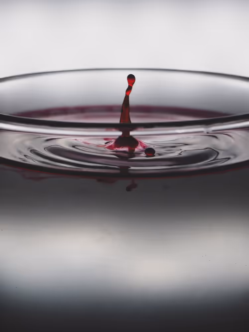 Item #39391070493116977564899321791408150162796374052111424108014134421647360262145 Media