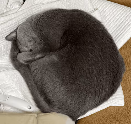 Item #55876772906064520244589560384559902972588633171982131610243235379934109106177 Media