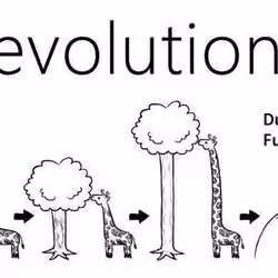 Evolution