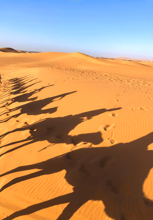 Item #93830154749716828743189394617161105712765095848897900338139654626027157585921 Media