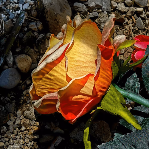 Item #72870681437103033302534611650972968841955188837135075508560703130214007308289 Media