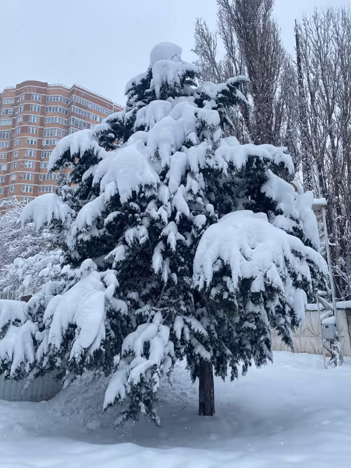 Item #112339910633504213728399095396539794001498957643170945361235603249306326269953 Media