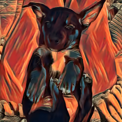 The Flying Ears #13