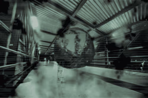 Item #13882040504112269696525772717635710400361666481683498872072608375186221170689 Media