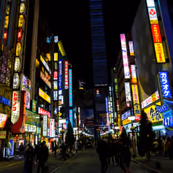 Shinjuku Kabukicho #22