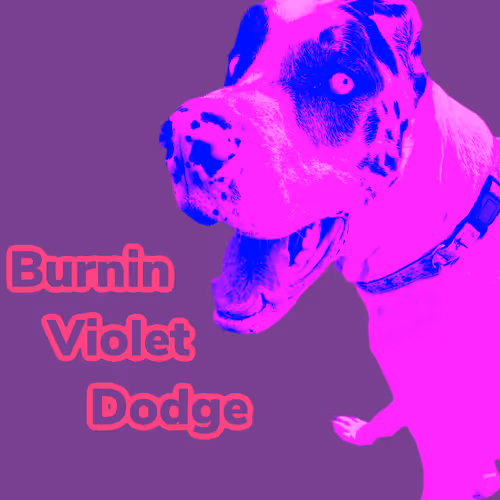 Item #15794007923744964589463280162252880392984187578375107792652798244395056889857 Media