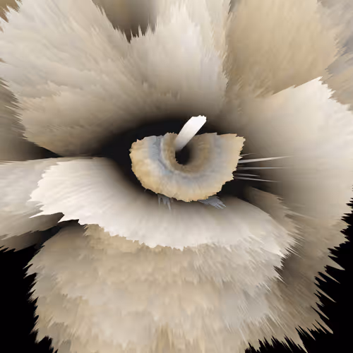 Item #47993365230904546224908061961898398429308184507692648287352000460857928581121 Media