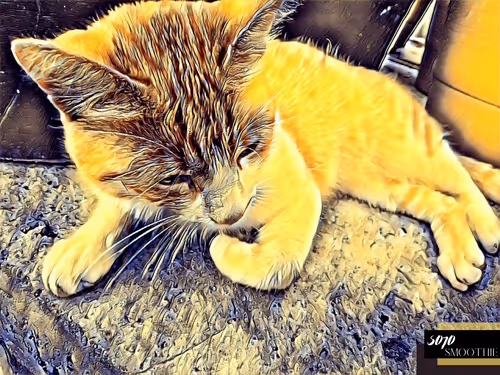 Item #70173555060280459679020221103172679865592931086946583501557978899693223018497 Media