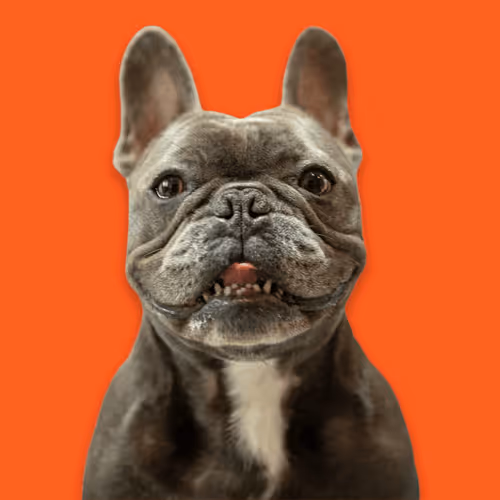 99031261785432219130552668818269695456905868997165113515571762269773207961601