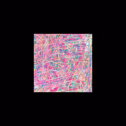21799379287257960107481022016823604535840919647524583076676203024932084383745