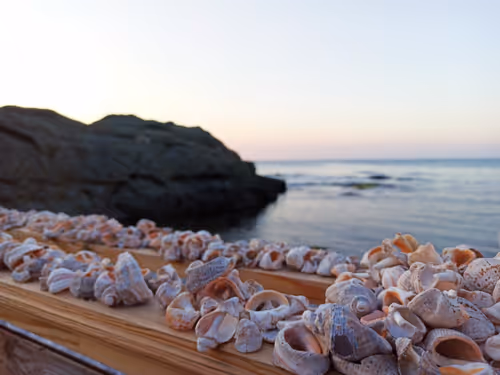 Item #55807924163620882743305652927464896138649887097193374139054959745688705957891 Media