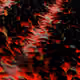 3205259652252939330130388224703068401791662019103128239833157718555922268161