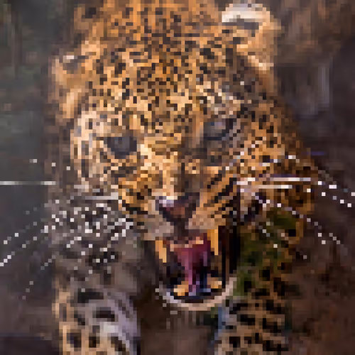 Item #40552772855221528735690230423376662721375624419530241202486605234193892900865 Media