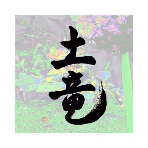 Item #69963289625873780075159906247721227463381325575472447281375270696759769169921 Media