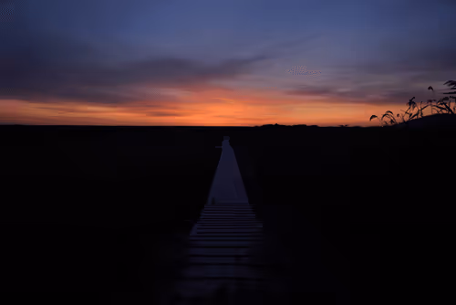 Item #87176501403928380168498398811960935080748737073158175460079780475842729082881 Media