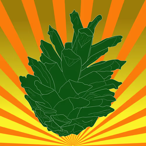 Item #51684206879132971117287575805148041327006568930595361555171380763427008937985 Media