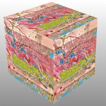 Item #92982949833918974499423317912524938094670059062225580625911312174203078180874 Media