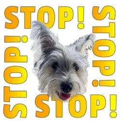 Laurent (Stop 1)