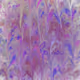 Untitled Collection #284048642