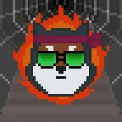 Rocket Shiba #6484