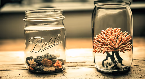 Item #88383022272040527676917536755072000604032069320977192761884823554288328376321 Media