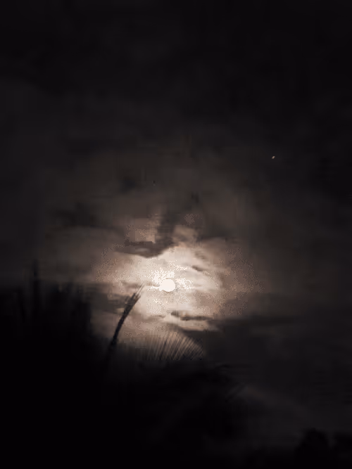 Item #75097487553752497353162577816974130774029112478172457106209786947626394976257 Media