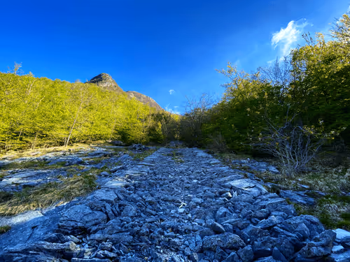 Item #36336170879608208403963751604494433054462935544758920663222913848376685494273 Media