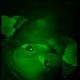 88206818383711440380604635759631800908685056941851575414438609745582716092417