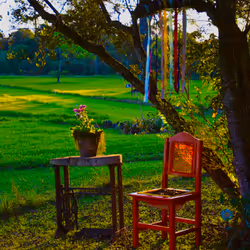 Lonely afternoon
