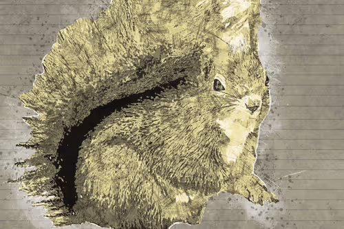 11276162529628641556553056529614973332754405277106184420845745641447707639809